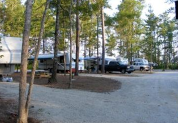 Carrollwoods RV Park At Grapefull Sisters Vineyard - Passport America ...