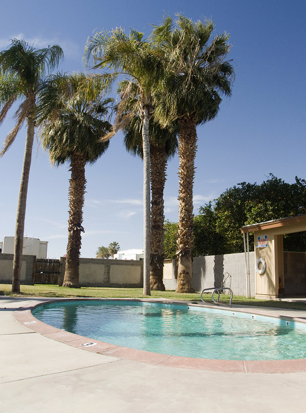 Escape to Paradise: Arizona Rolle's Lynda Vista RV Resort - Your Gateway to Desert Adventures