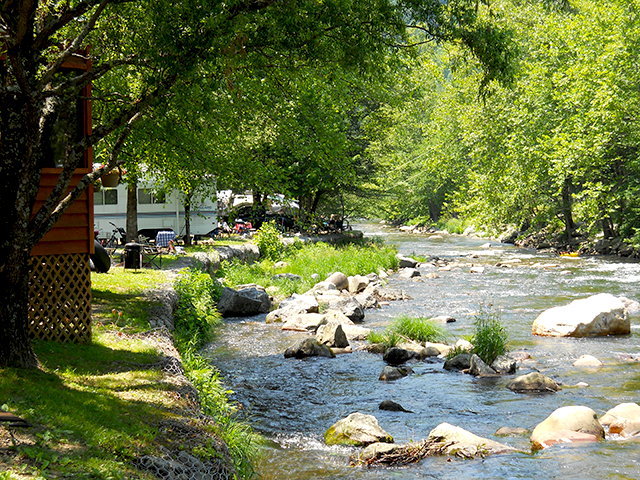 Yogi In The Smokies - Passport America Camping & RV Club