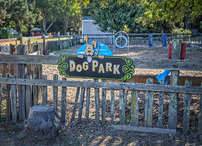 Escape to Paradise: Casini Ranch Family Campground – Your Northern California Adventure Awaits!